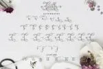 Dicella Script Font