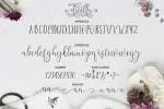 Dicella Script Font