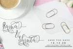 Dicella Script Font