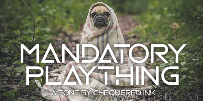 Mandatory Plaything Font