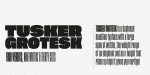Tusker Grotesk Complete Family