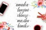 Ganesha Script Font