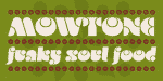 Oliva - Groovy Retro Family 2 Styles Font