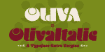 Oliva - Groovy Retro Family 2 Styles Font
