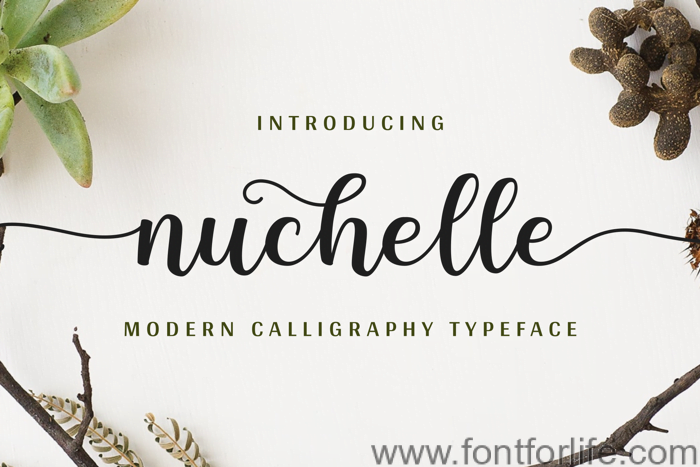 Nuchelle Font