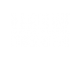 Hardline Font