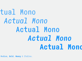 AA Actual Mono Font