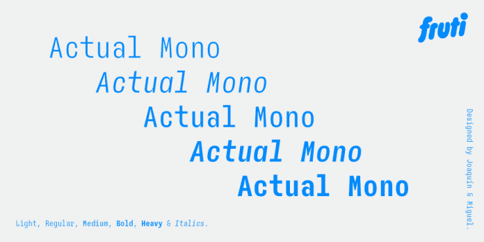 AA Actual Mono Font