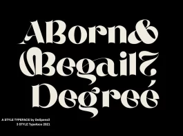 ABORN Modern Serif Font