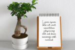 Abashed Font