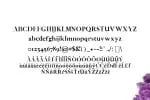 Abed Font