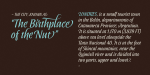 Abelina Font