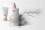Abella Script Font