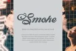 Abine - Display Script Font