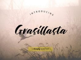 About Grasillasta Font