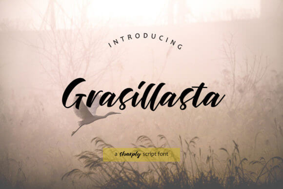 About Grasillasta Font