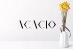 Acacio Font