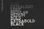 Ace Font Family