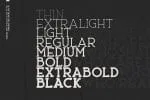 Ace Serif Font