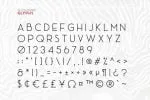 Ace Sans Font
