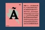Acelga Font