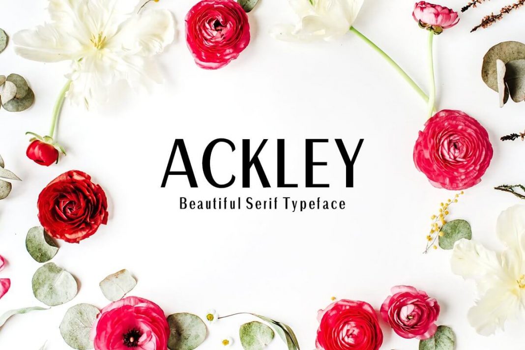 Ackley Sans Serif Font