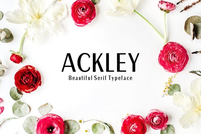 Ackley Sans Serif Font