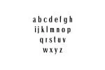 Ackley Sans Serif Font