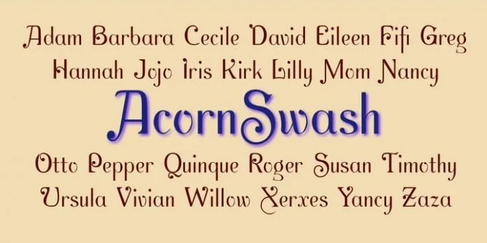AcornSwash