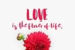 Acquainted Script Brush Font