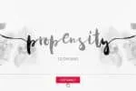 Acquainted Script Brush Font