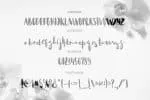 Acquainted Script Brush Font