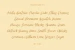 Acronits Script Font