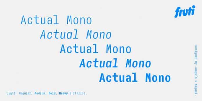 Actual Mono Font Family