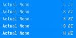 Actual Mono Font Family