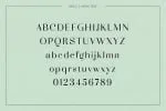 Adagio Decorative Ligature Font Duo