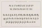 Adagio Decorative Ligature Font Duo