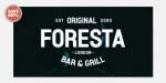 Adecion Font Family