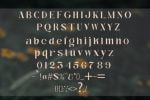 Adelium Font