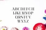 Adie Font