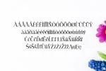 Adie Font