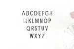 Adney Font