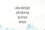 Adney Font