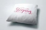 Adreena Script Font