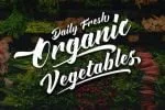 Advections Brush Script Font
