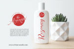 Aesthetica Font