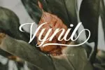 Aetrina Elegant Script Display Font