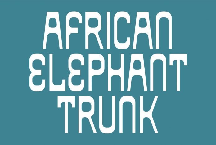 African Elephant Trunk Font