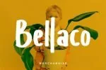 Agabil Stylish Fancy Font