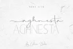 Aghnesta Font Trio